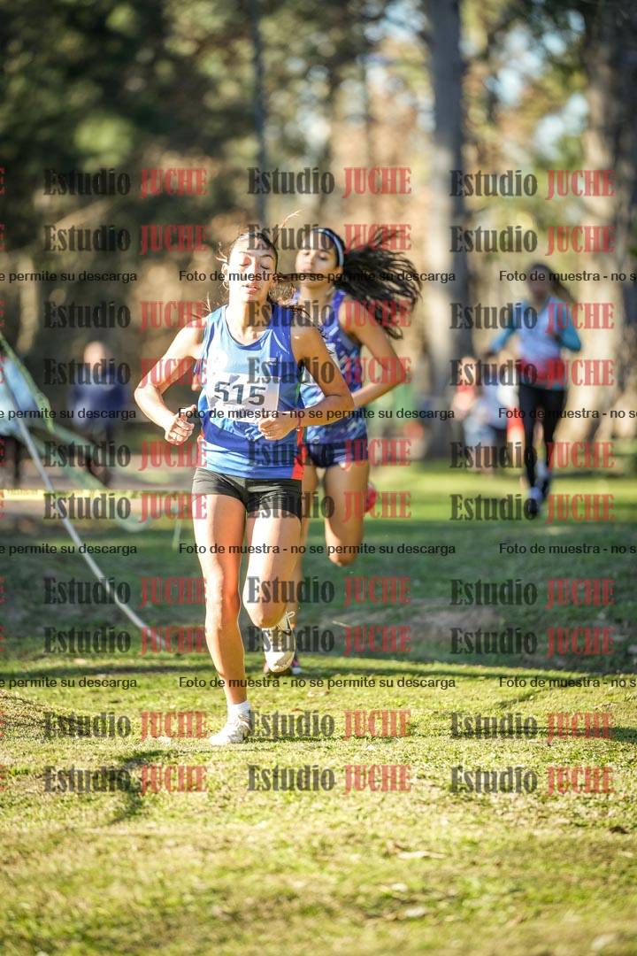 Fotos en el tercer punto del circuito