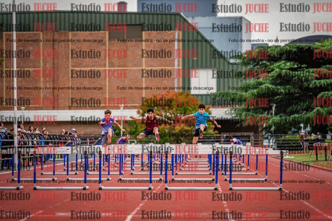 Fotos de los 80 m con vallas de varones