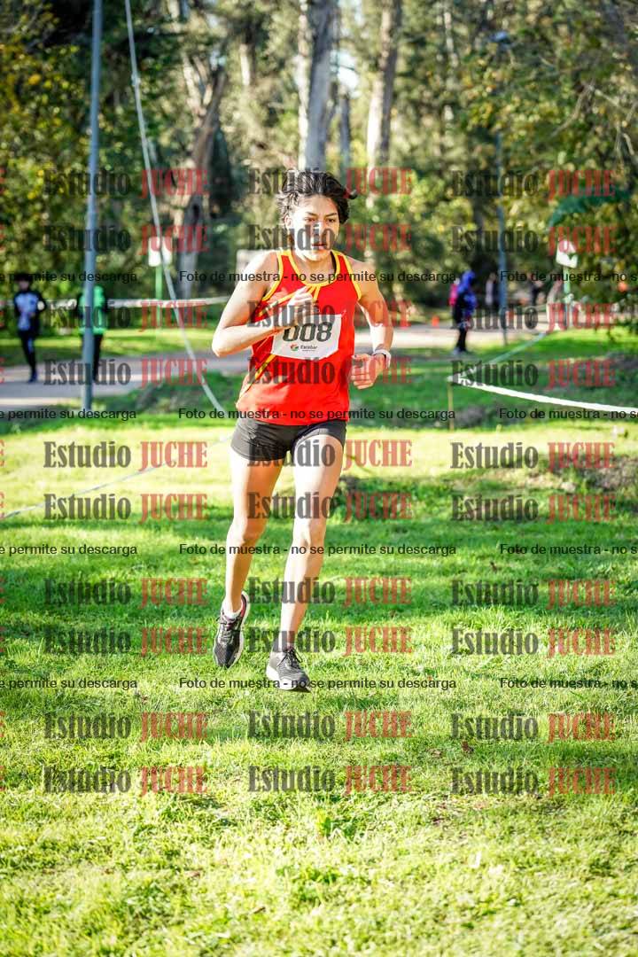 Fotos en el segundo punto del circuito