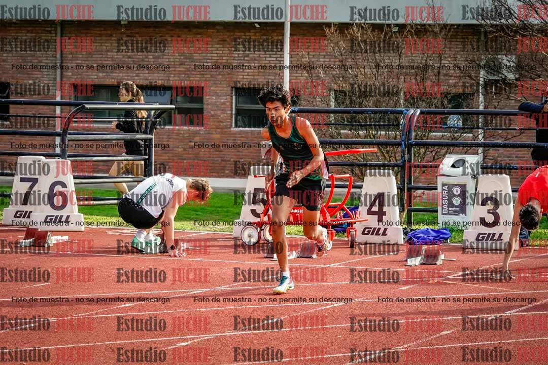 Fotos de los 110 m con vallas de varones