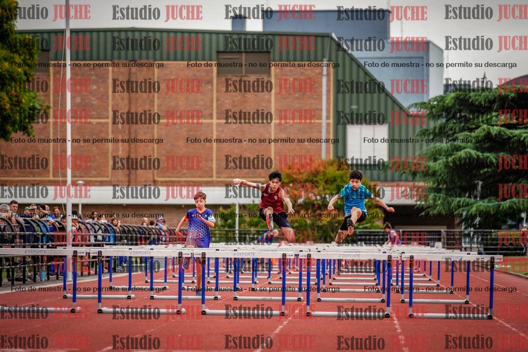 Fotos de los 80 m con vallas de varones
