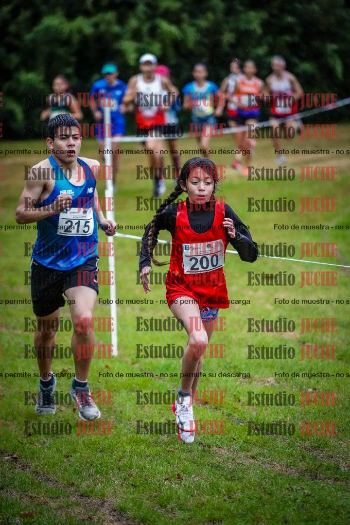 Fotos en el circuito