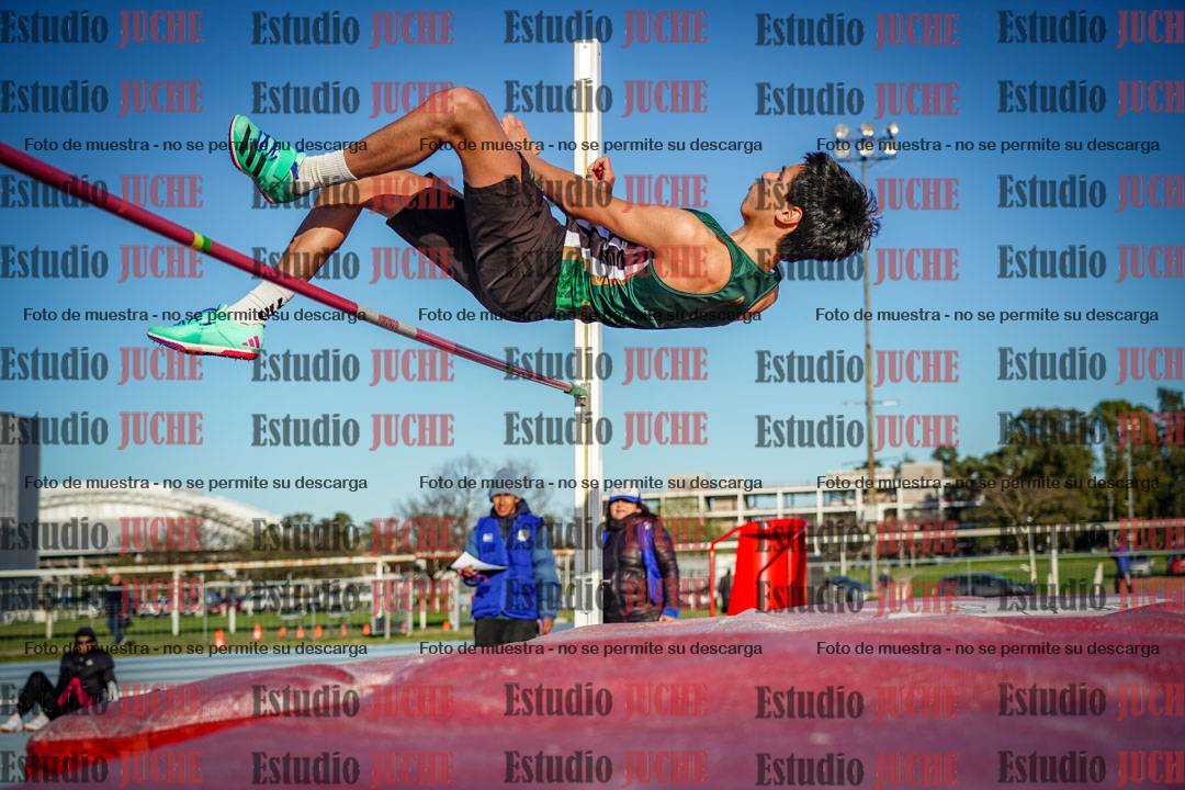 Fotos del salto en alto de varones