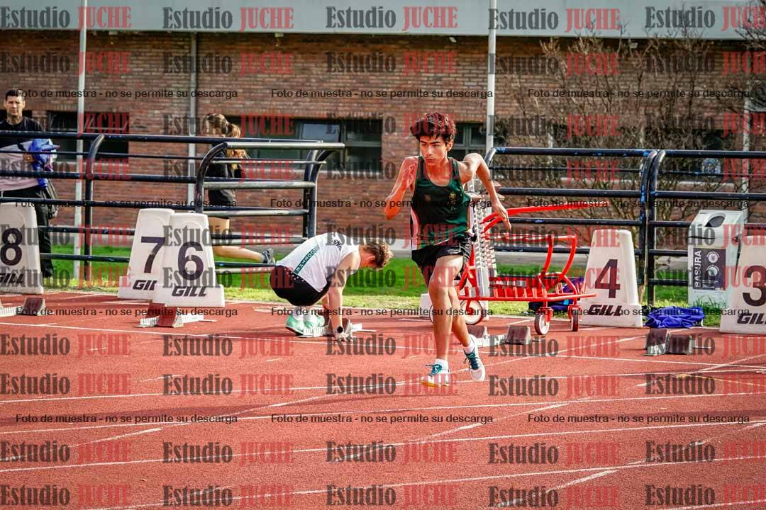 Fotos de los 110 m con vallas de varones