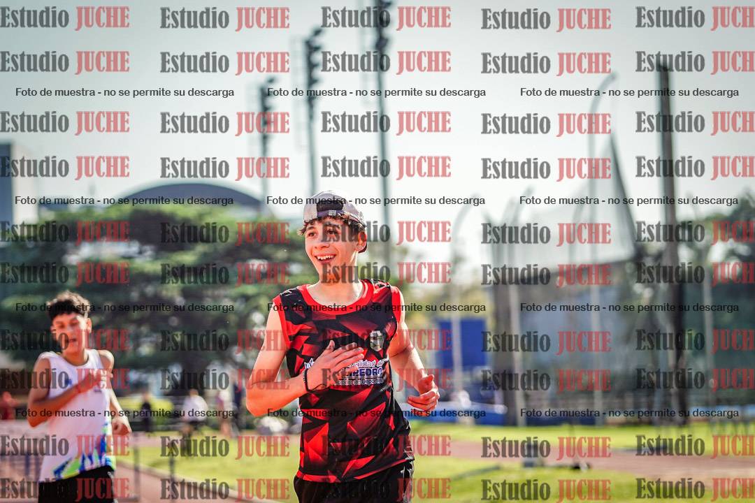 Fotos de los 110 m con vallas de varones