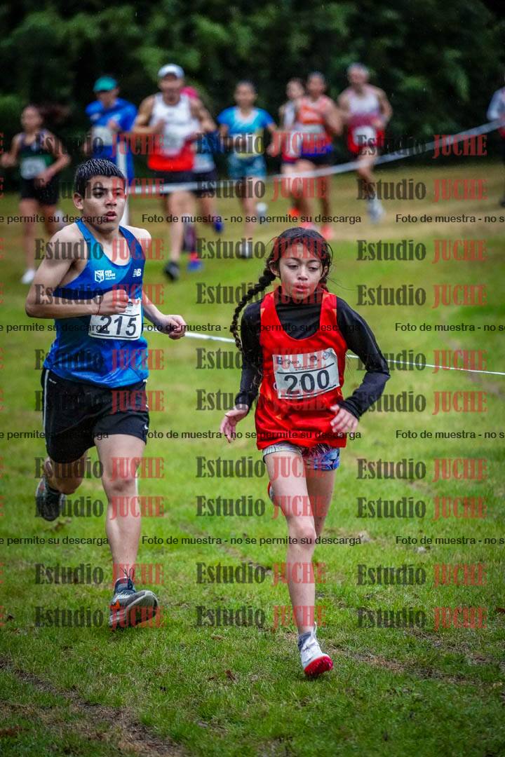 Fotos en el circuito