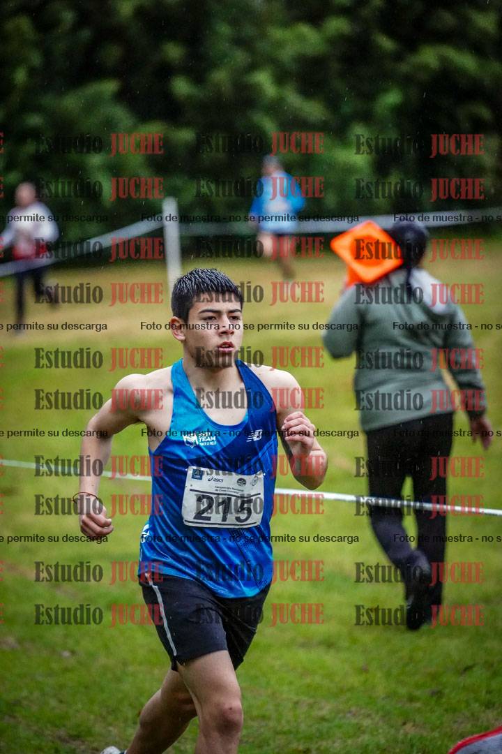 Fotos en el circuito