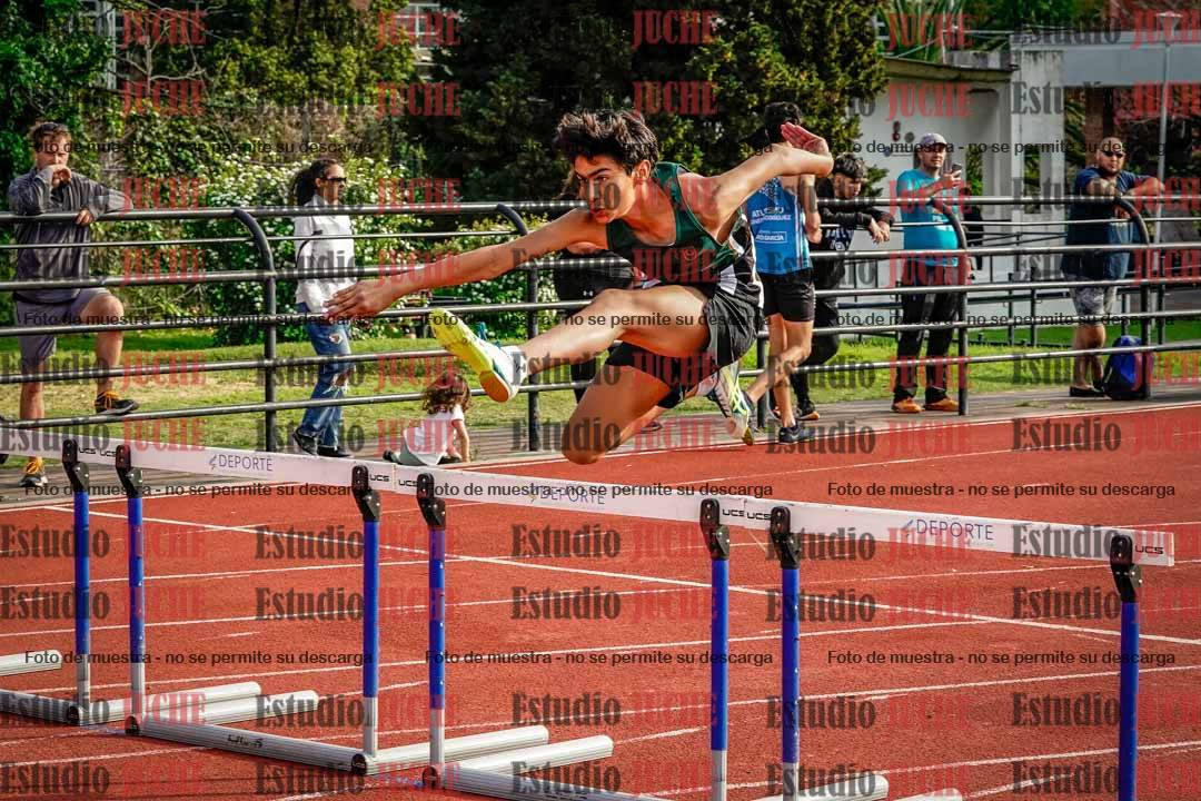 Fotos de los 110 m con vallas de varones