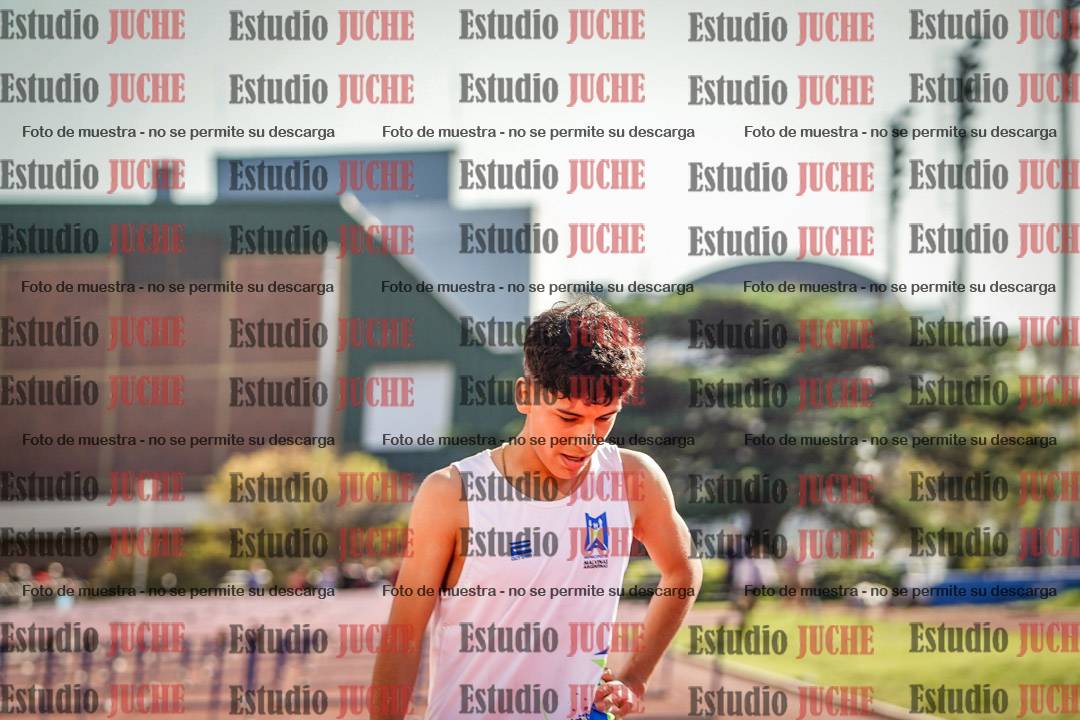Fotos de los 110 m con vallas de varones