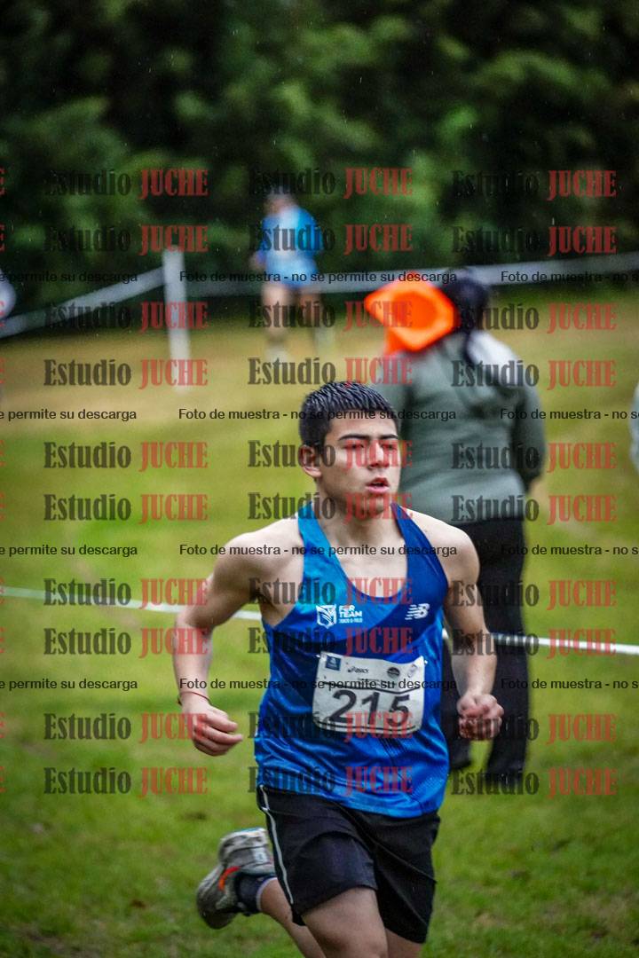 Fotos en el circuito