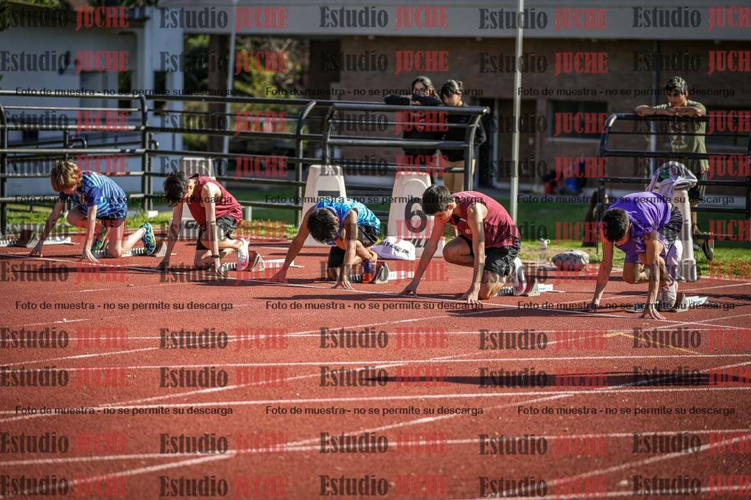 Fotos de los 110 m con vallas de varones