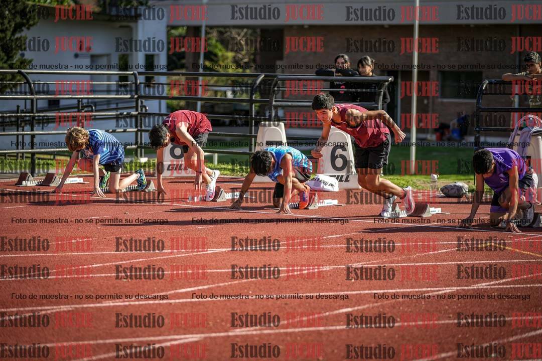 Fotos de los 110 m con vallas de varones