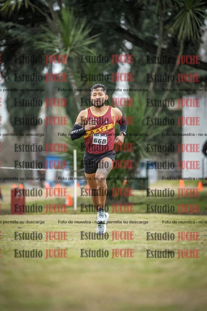 Fotos en el circuito