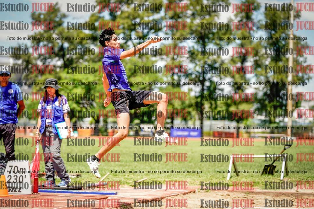 Fotos del salto en largo de varones