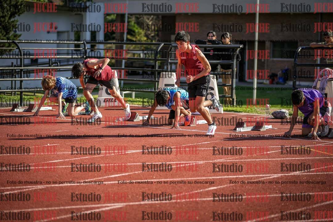 Fotos de los 110 m con vallas de varones
