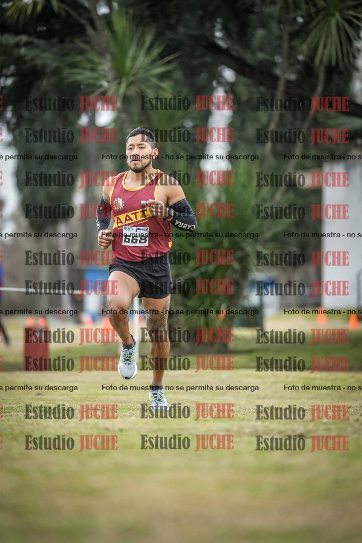 Fotos en el circuito