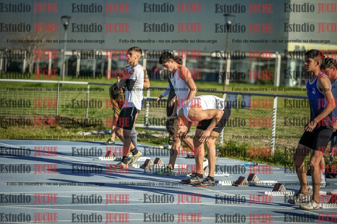 Fotos de los 110 m con vallas de varones