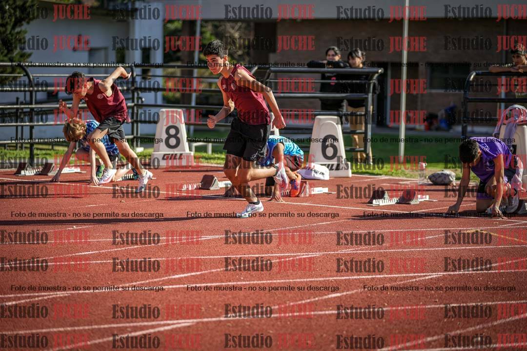 Fotos de los 110 m con vallas de varones