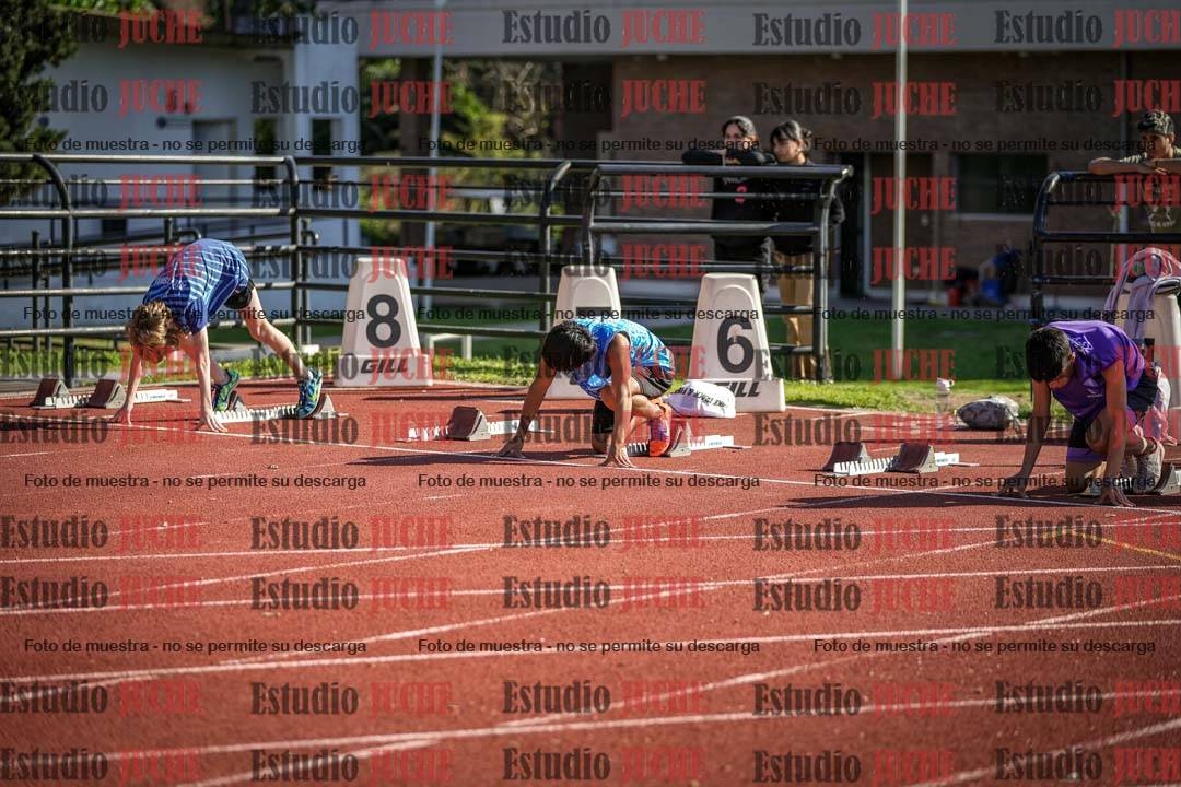 Fotos de los 110 m con vallas de varones