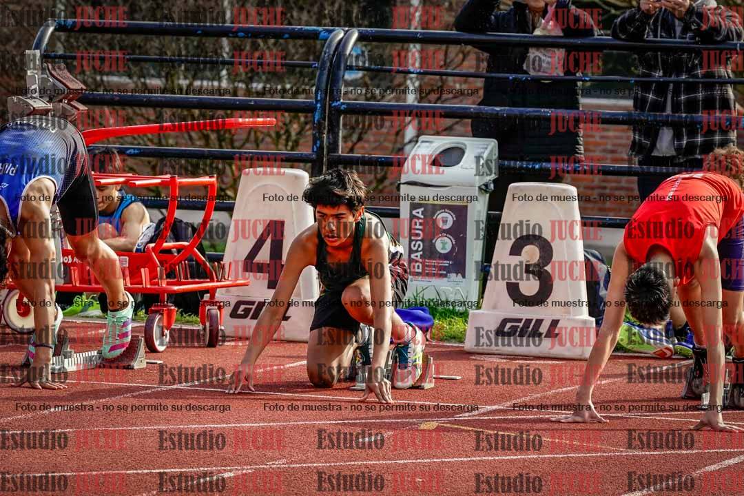 Fotos de los 110 m con vallas de varones