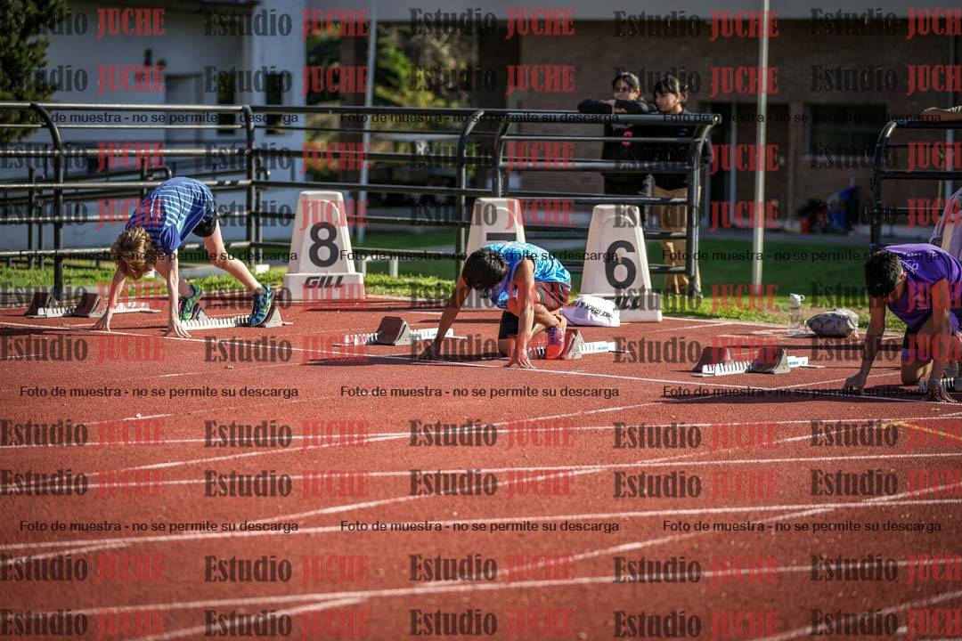 Fotos de los 110 m con vallas de varones