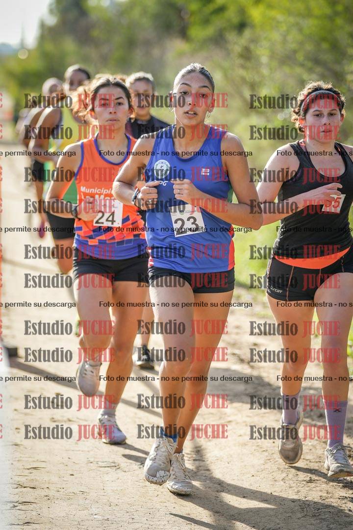 Fotos en el circuito