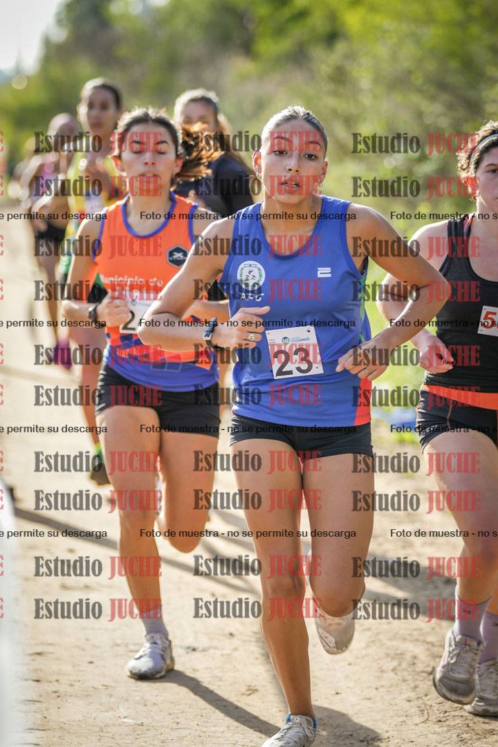 Fotos en el circuito