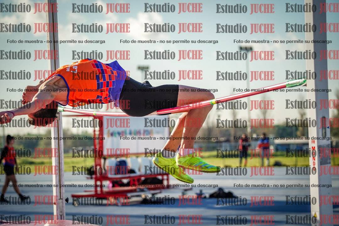 Fotos del salto en alto de varones