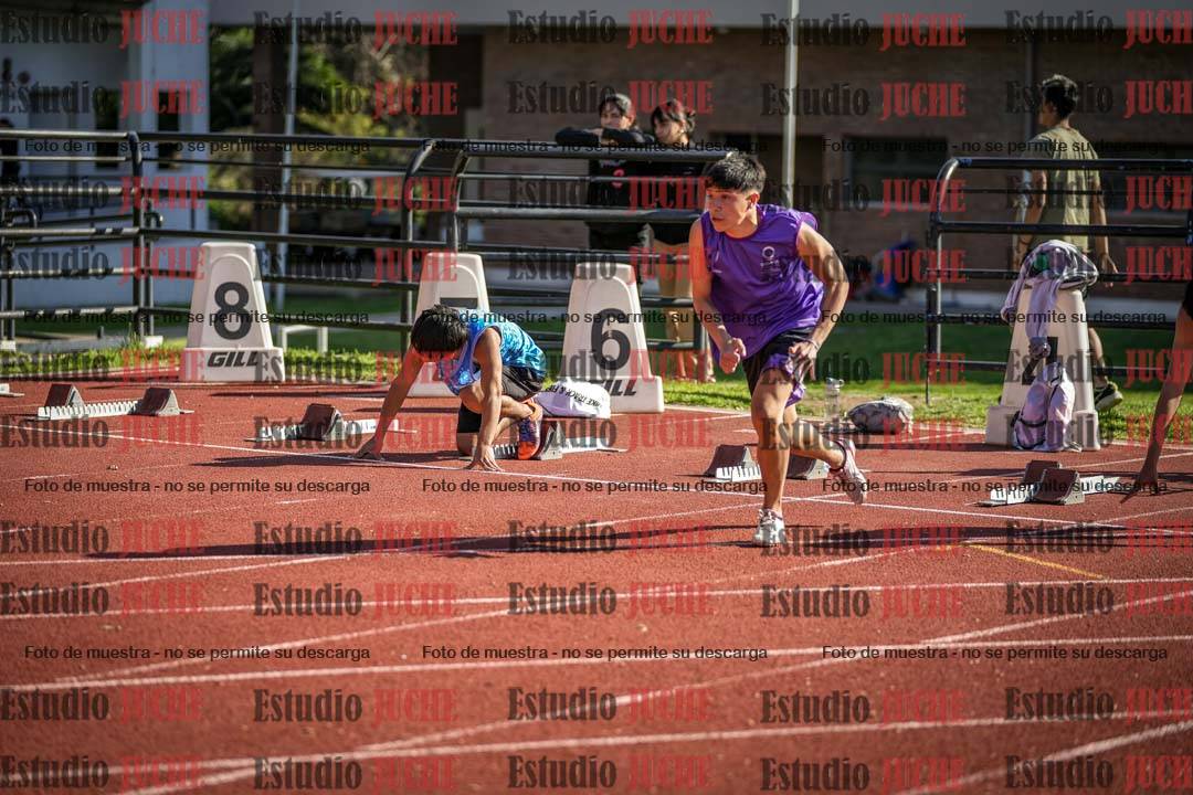 Fotos de los 110 m con vallas de varones