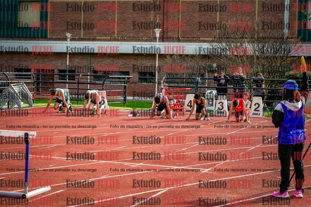 Fotos de los 110 m con vallas de varones