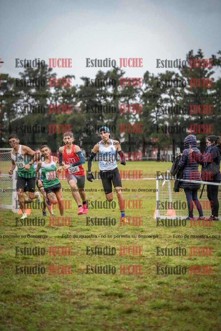 Fotos en el circuito