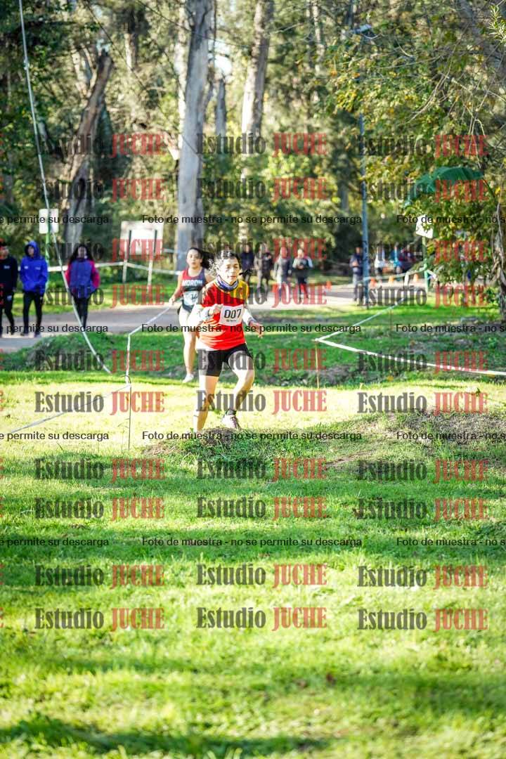 Fotos en el segundo punto del circuito