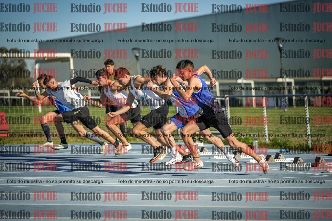 Fotos de los 110 m con vallas de varones