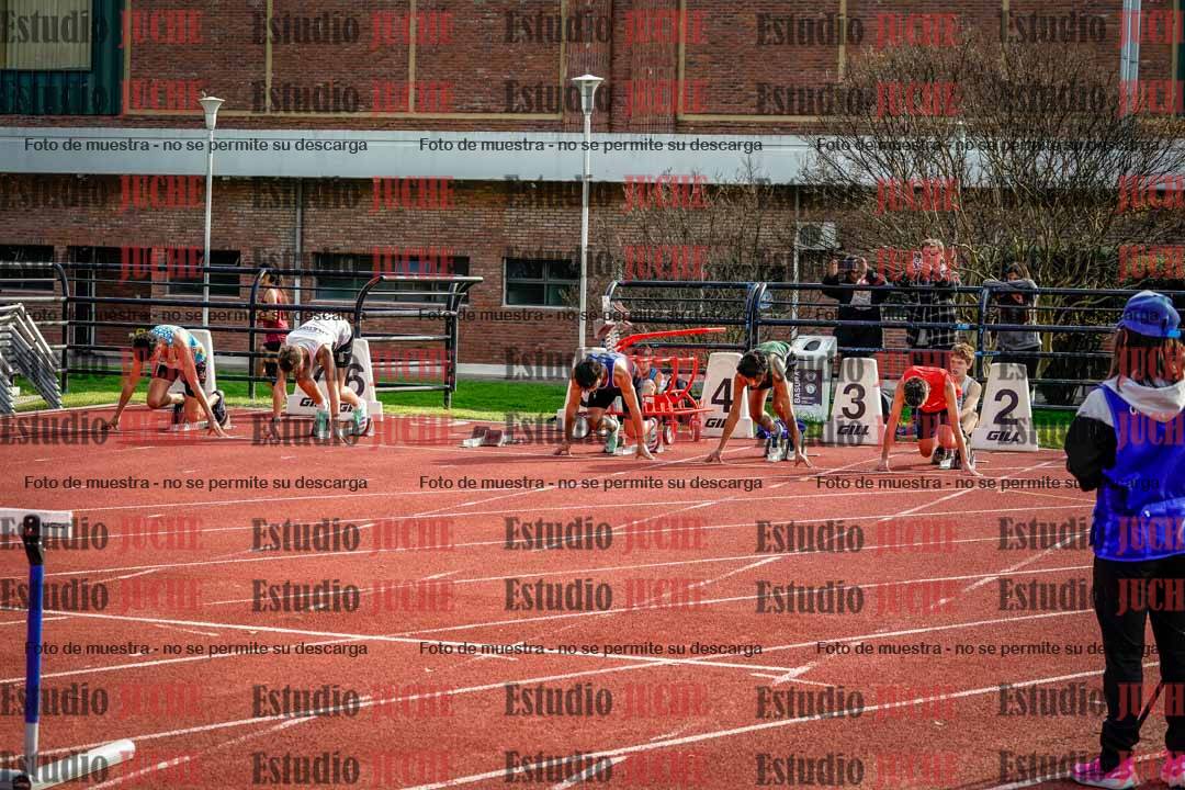 Fotos de los 110 m con vallas de varones