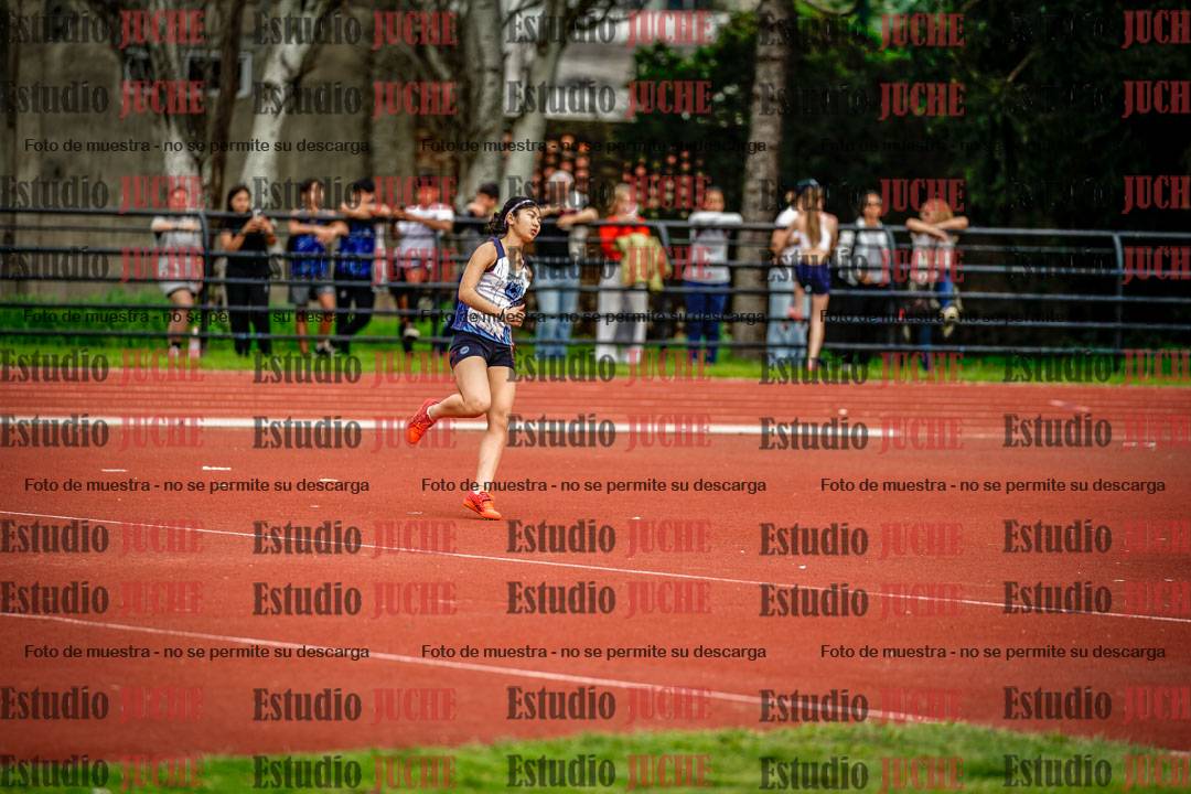 Fotos del salto en alto de mujeres