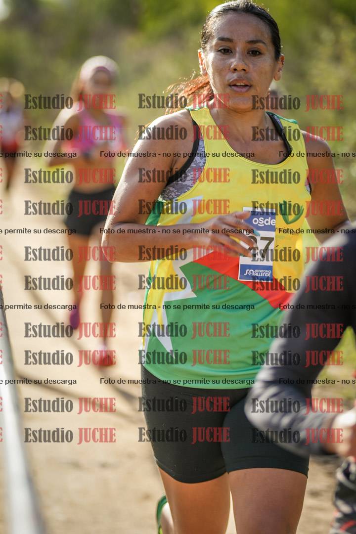 Fotos en el circuito