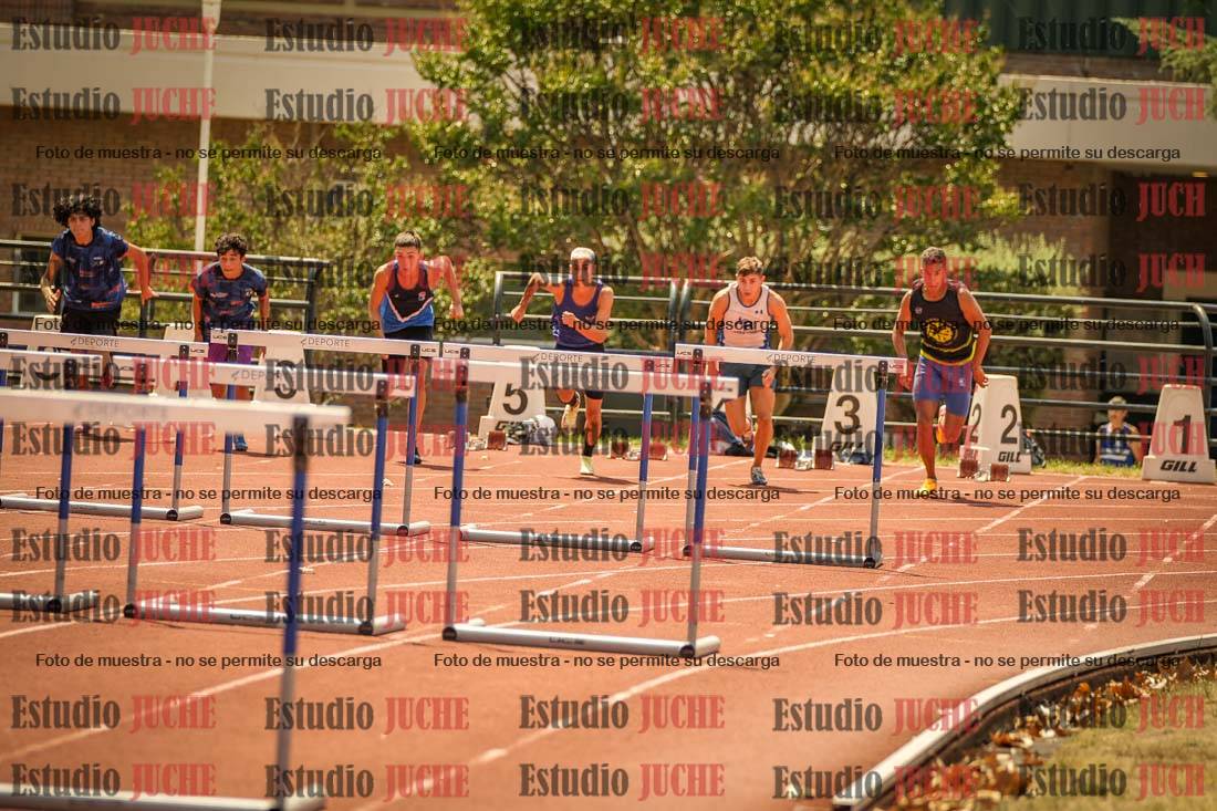 Fotos de los 110 m con vallas de varones
