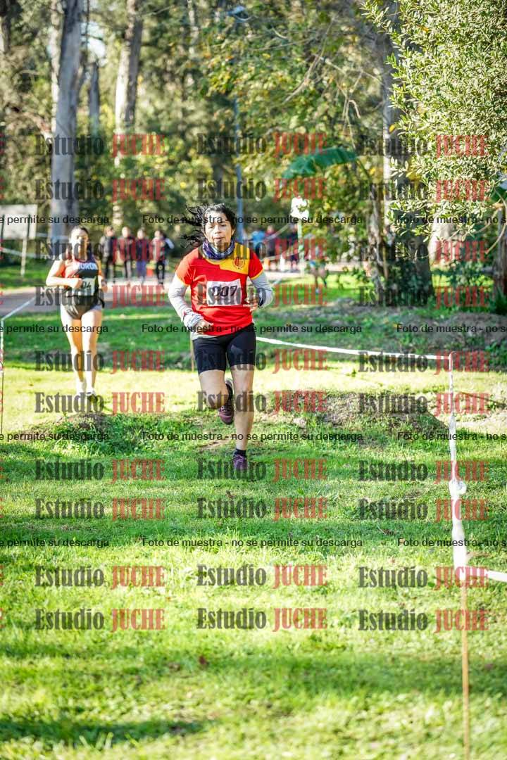 Fotos en el segundo punto del circuito