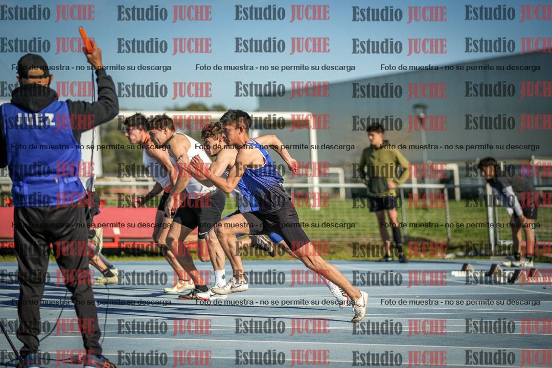 Fotos de los 110 m con vallas de varones