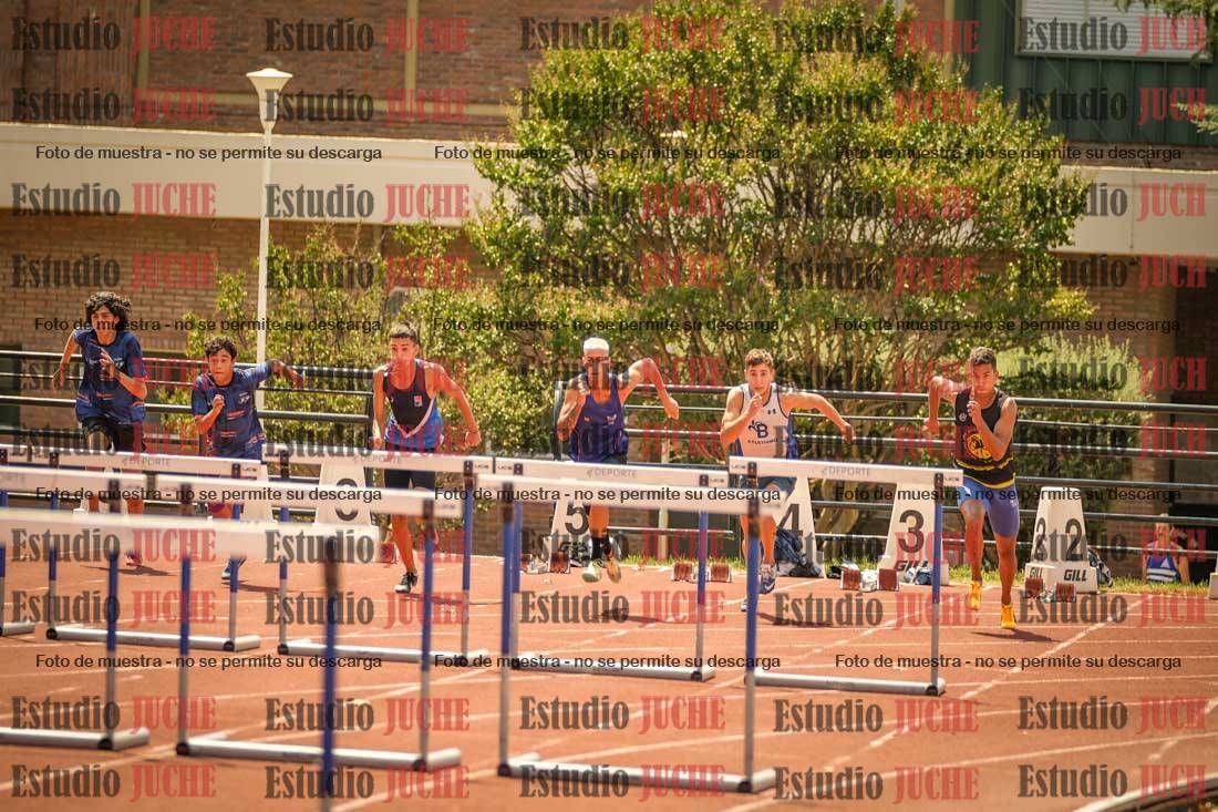 Fotos de los 110 m con vallas de varones