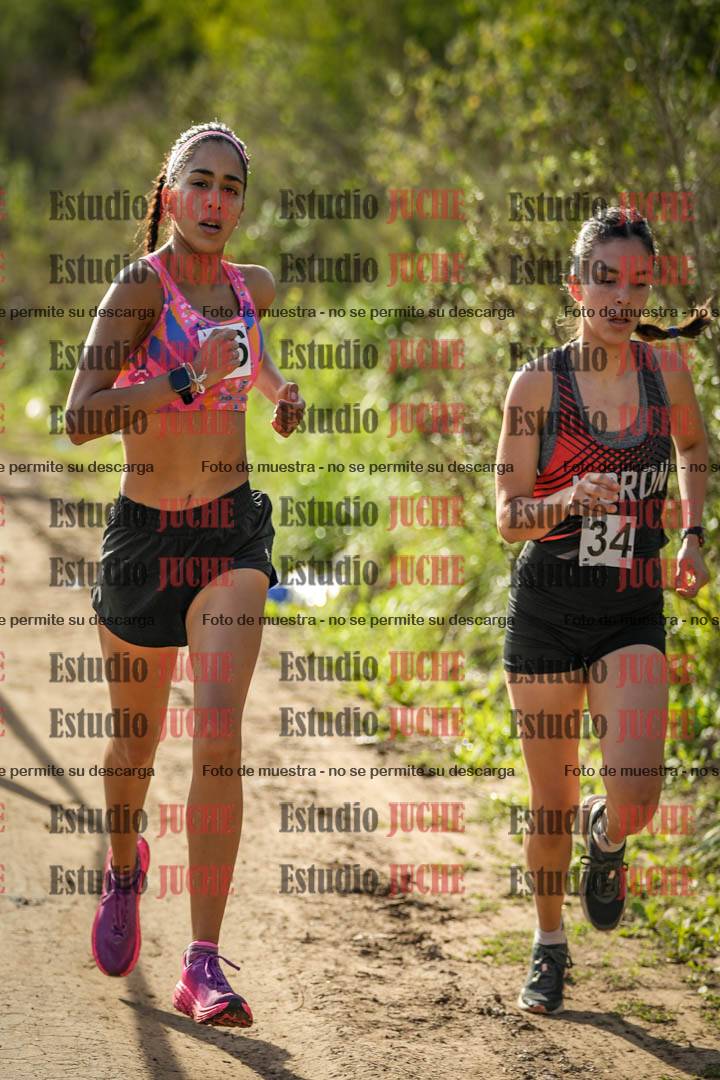 Fotos en el circuito