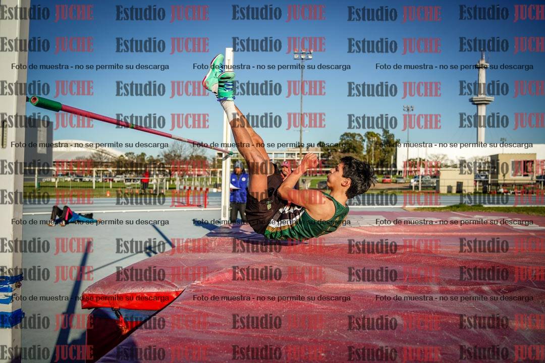 Fotos del salto en alto de varones