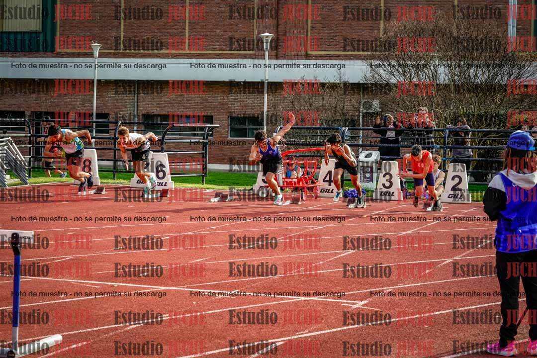 Fotos de los 110 m con vallas de varones