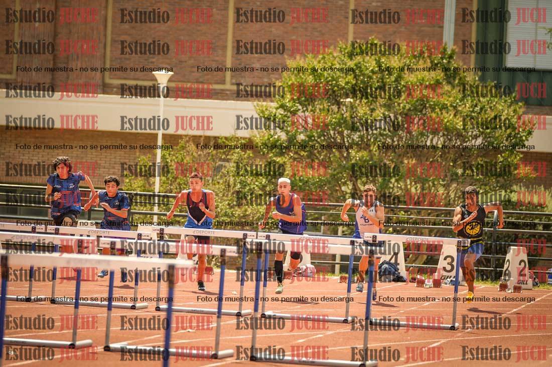 Fotos de los 110 m con vallas de varones