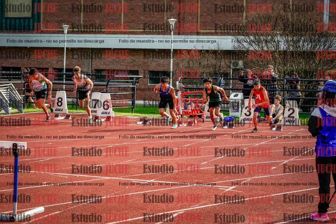 Fotos de los 110 m con vallas de varones