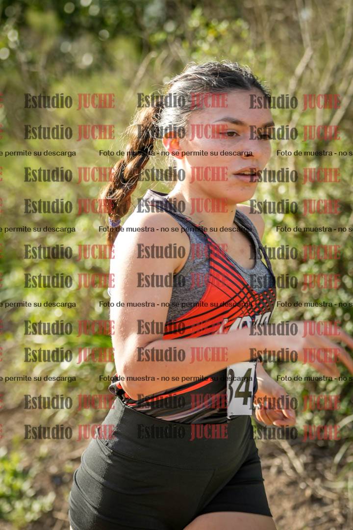 Fotos en el circuito