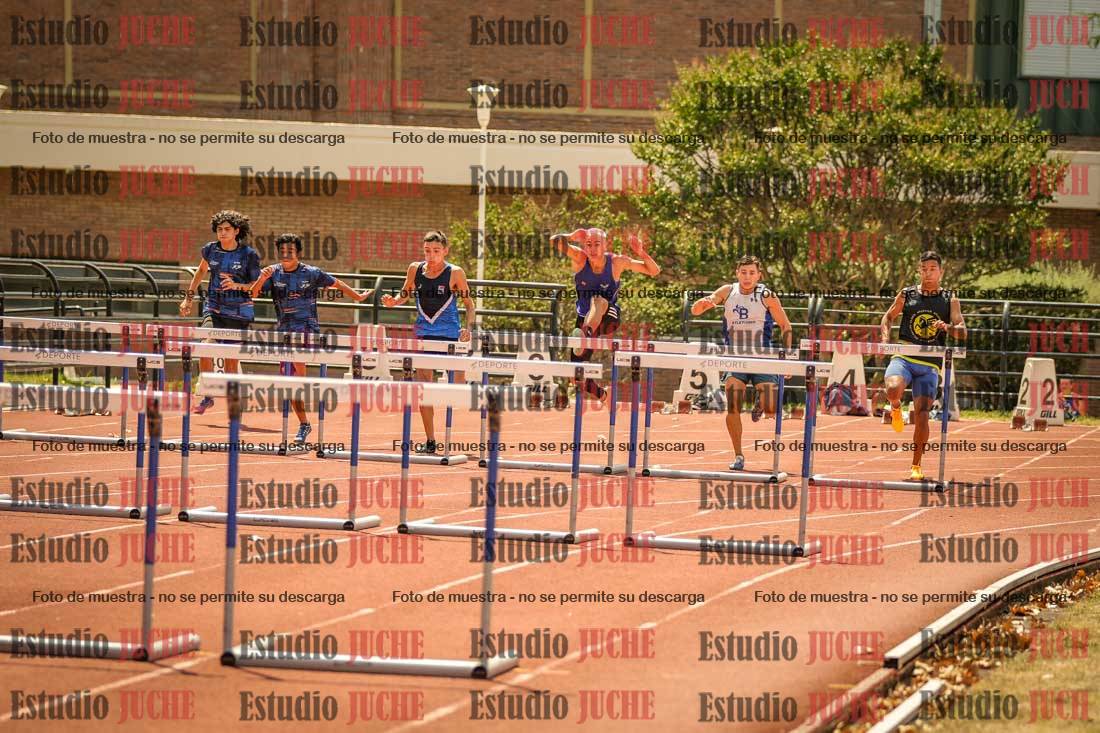Fotos de los 110 m con vallas de varones