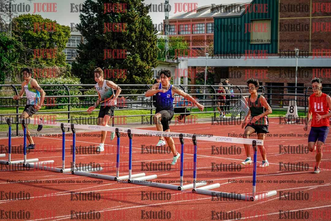 Fotos de los 110 m con vallas de varones