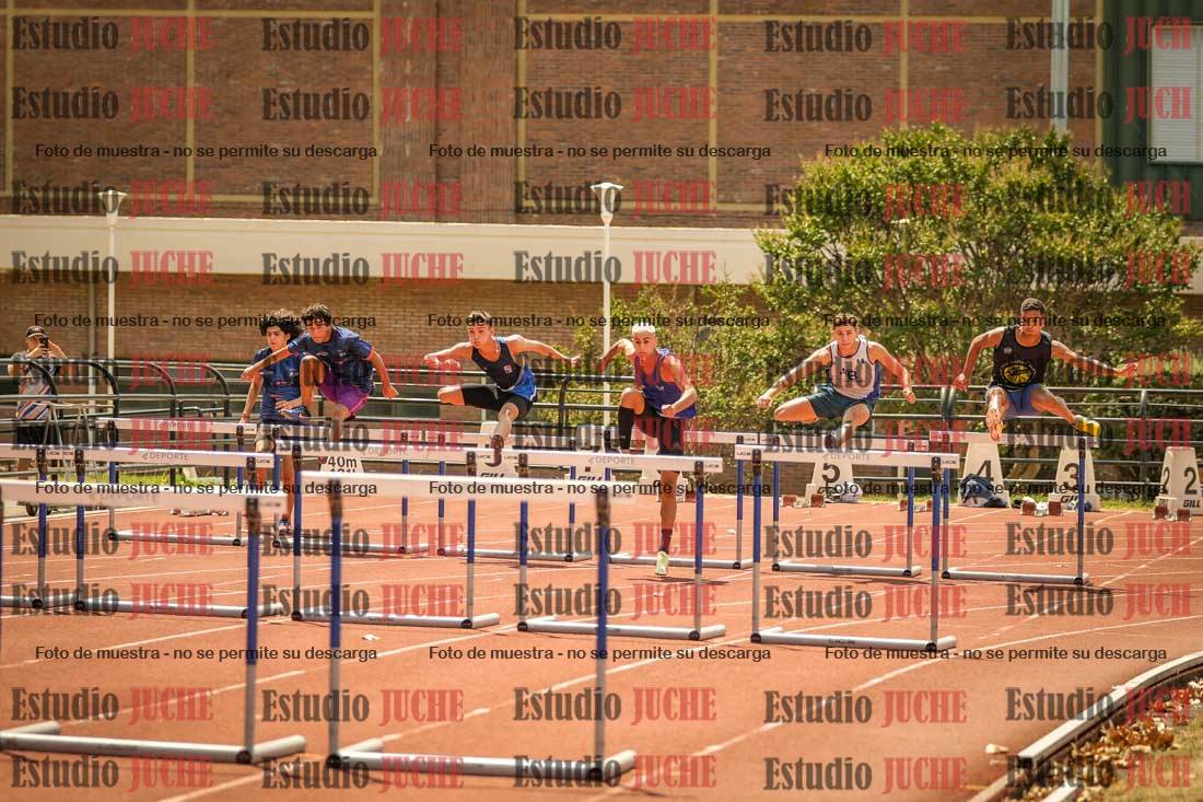 Fotos de los 110 m con vallas de varones