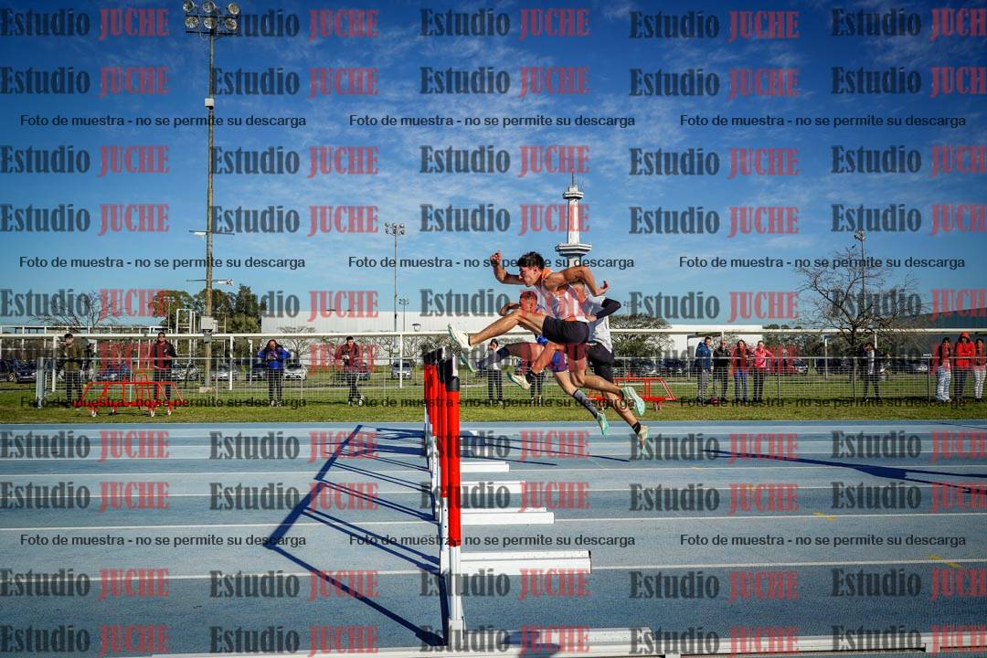 Fotos de los 110 m con vallas de varones